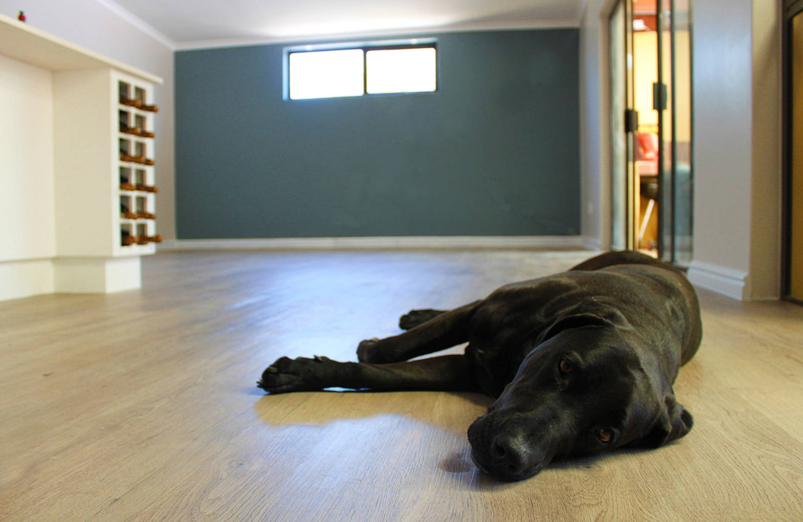 Best Vinyl Flooring Supplier In South Africa Flooring Depot